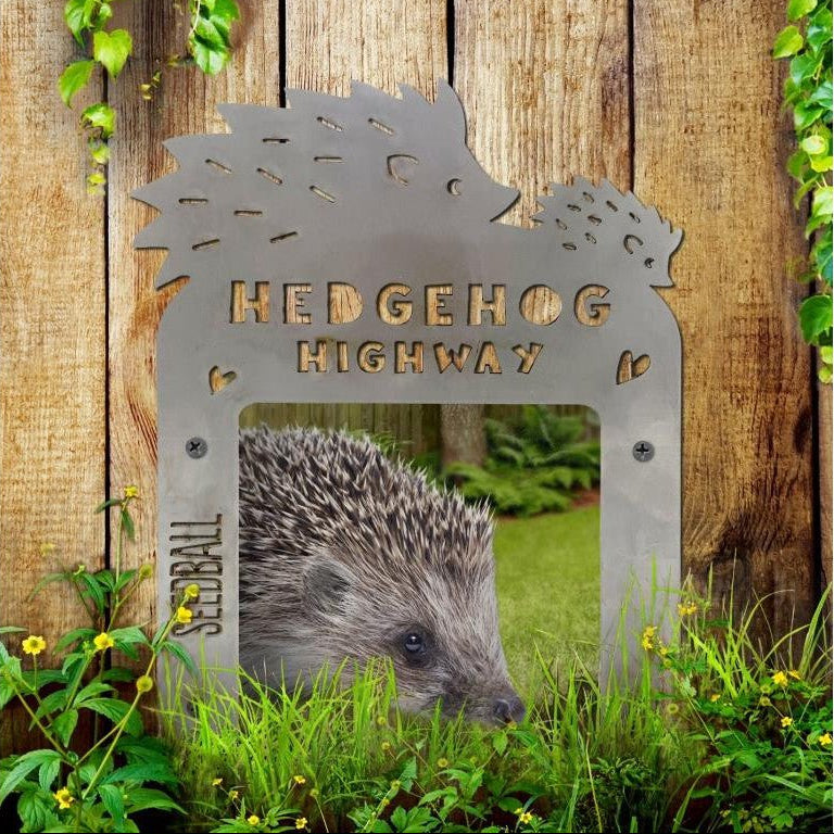 Hedgehog Highway