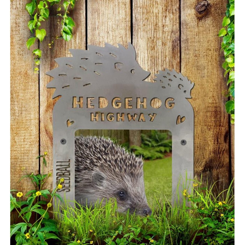 Hedgehog Highway