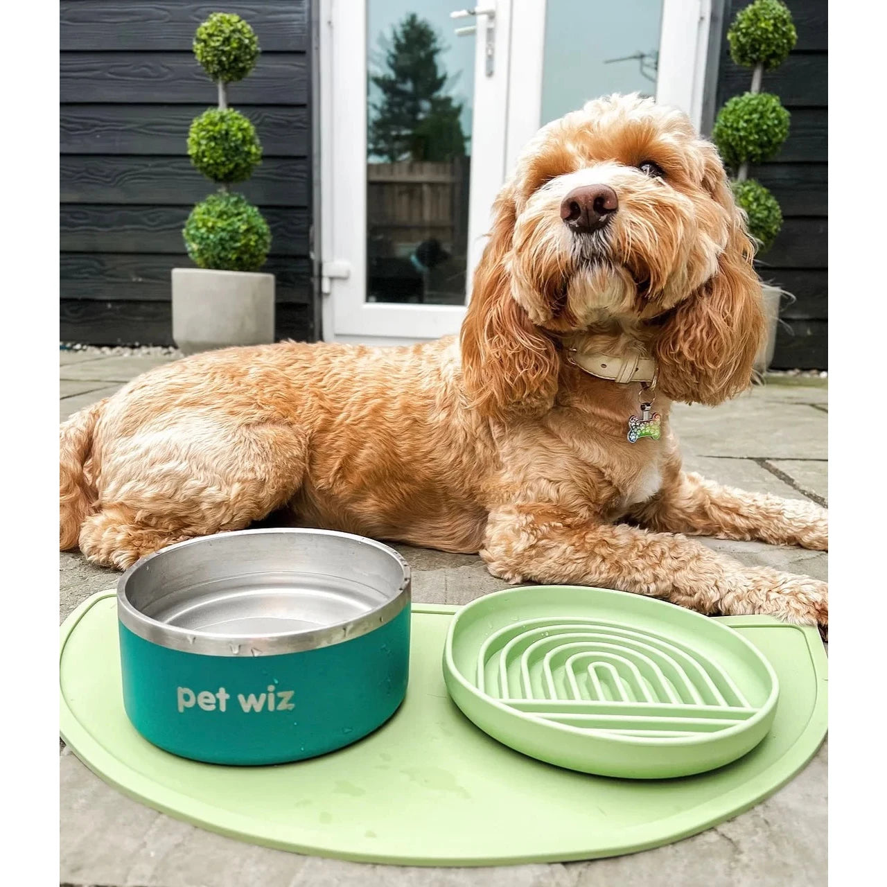 Stainless Steel Double Walled Dog Bowl - Teal