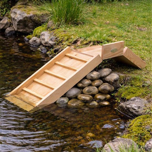 Hedgehog Ladder FSC 100%