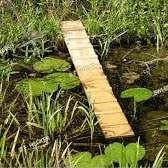 Hedgehog Ladder FSC 100%