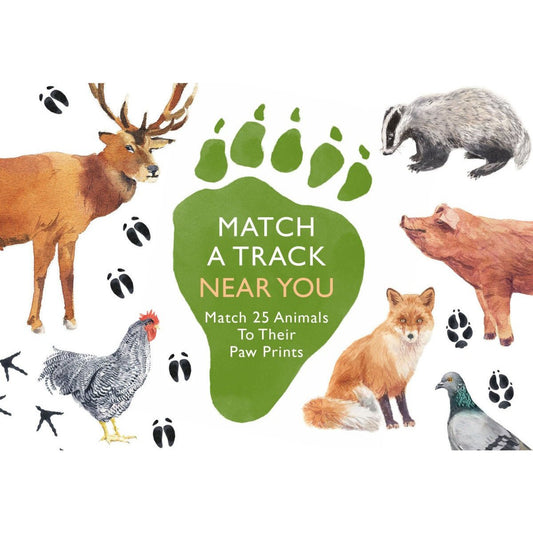 Match A Track Near You Game