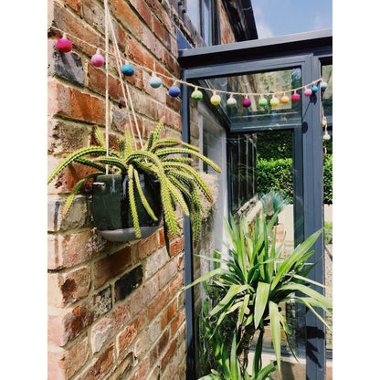 Handmade Biodegradable Felt Lightbulb Garland Home Decoration