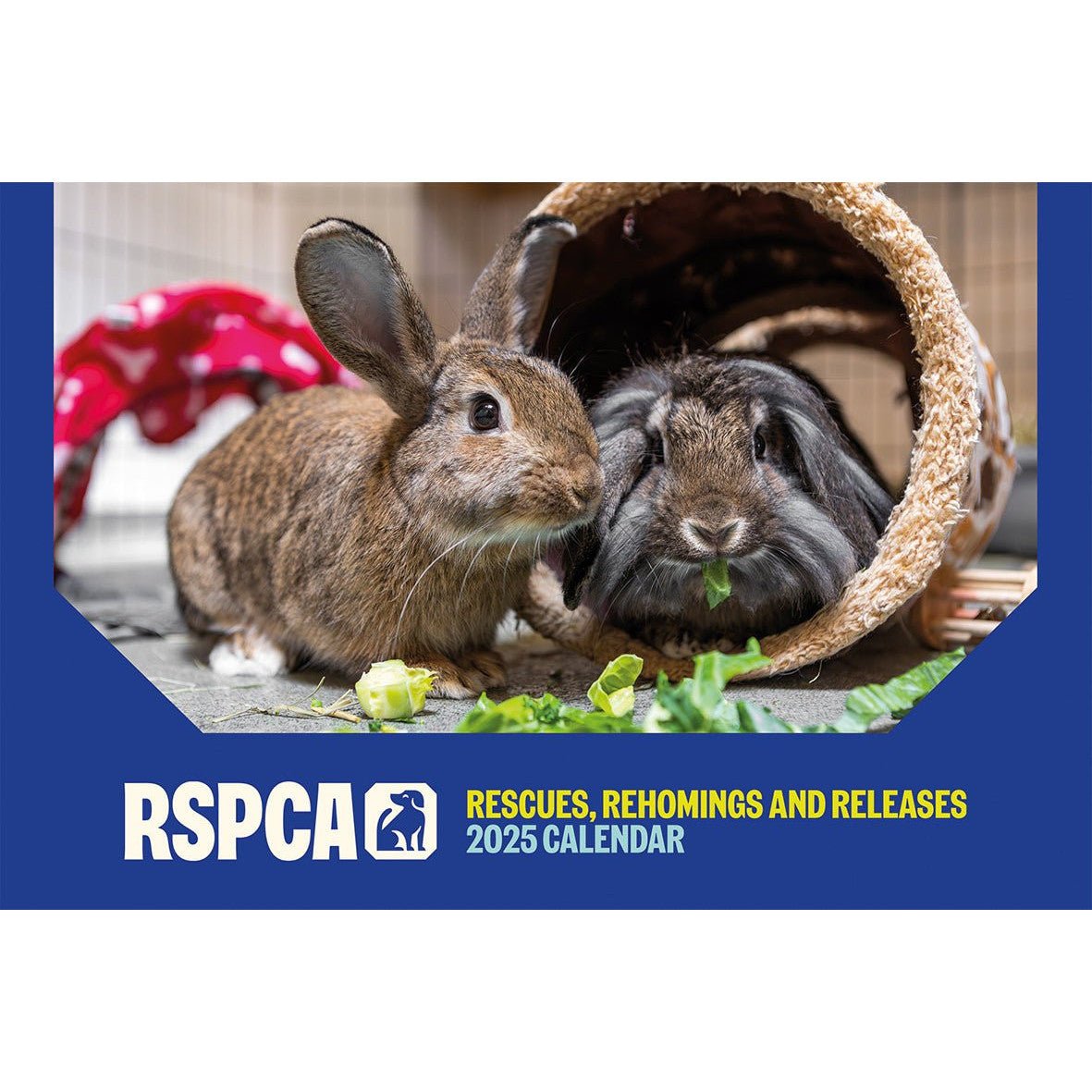 RSPCA Rescue Animals Landscape Wall Calendar 2025