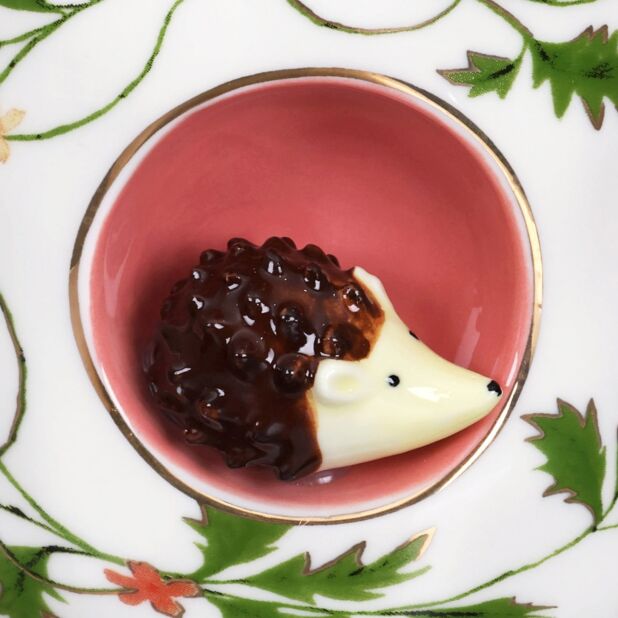 Secret Garden 3D Blue Hedgehog Mug