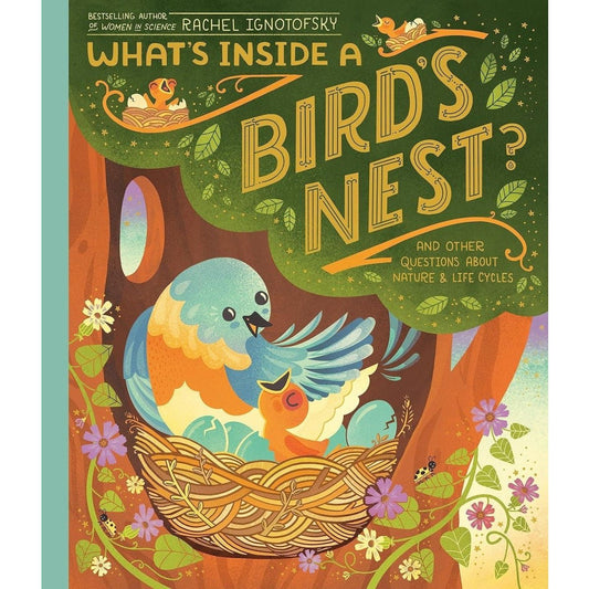 What's Inside a Bird's Nest?