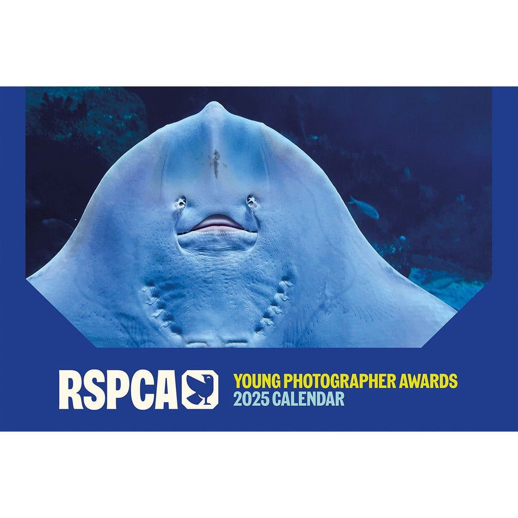 Calendars and Diaries 2025 RSPCA Shop