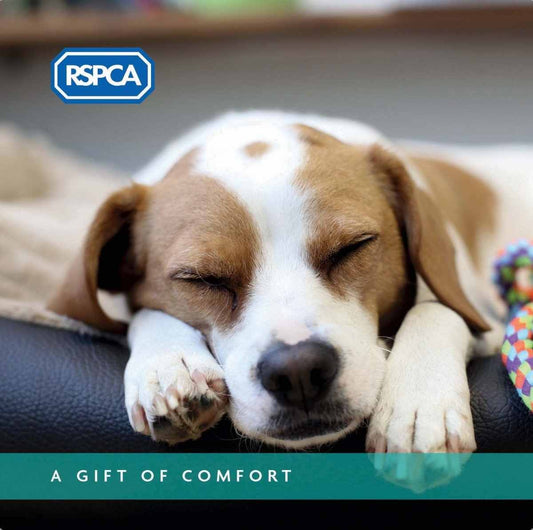 A Gift of Comfort - Dog Charity Gift Card