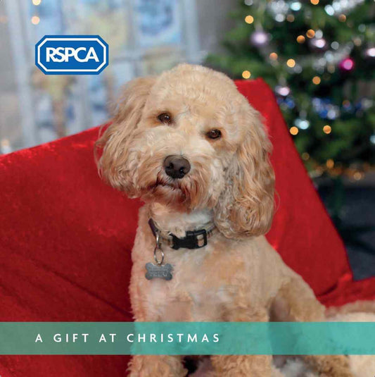 A Gift at Christmas Charity Gift Card