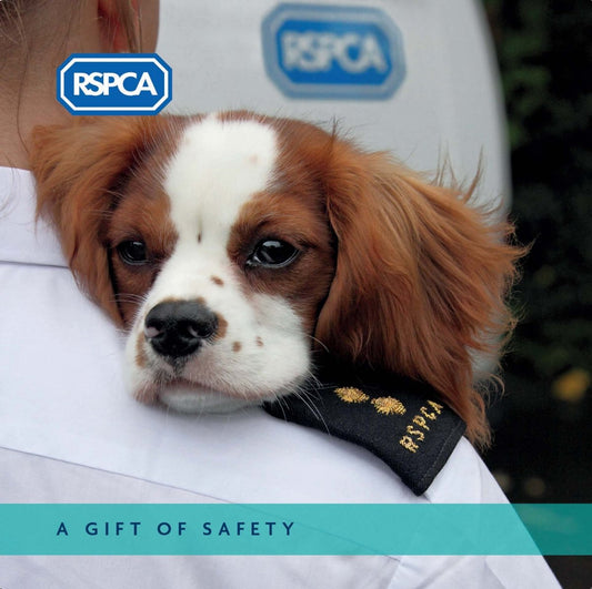 A Gift of Safety Charity Gift Card