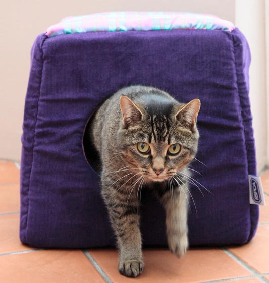 RSPCA Purple 3-in-1 Cat Bed