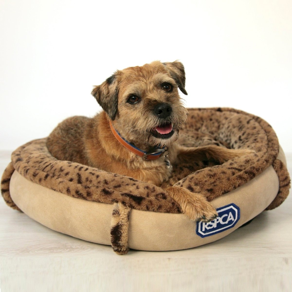 RSPCA Snuggle Dog Bed – RSPCA Shop