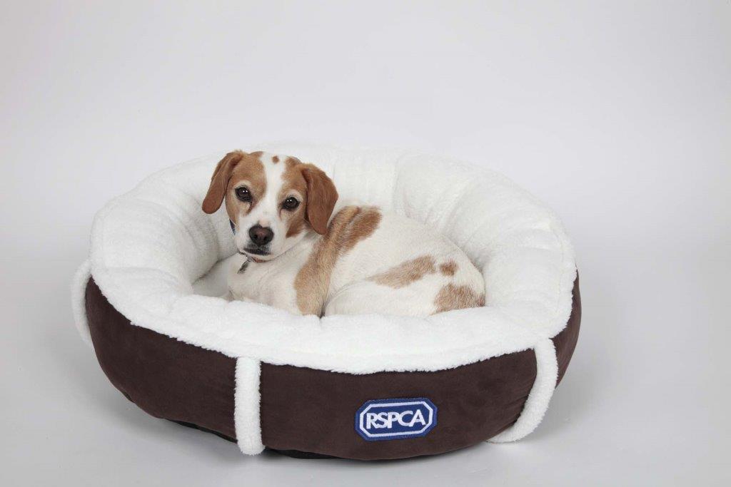 Rspca dog 2024 beds argos