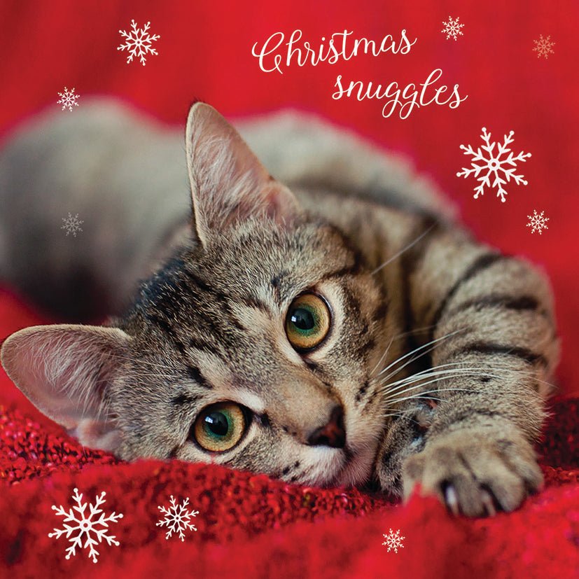 Christmas Cat Snuggles, pack of 10, 2022