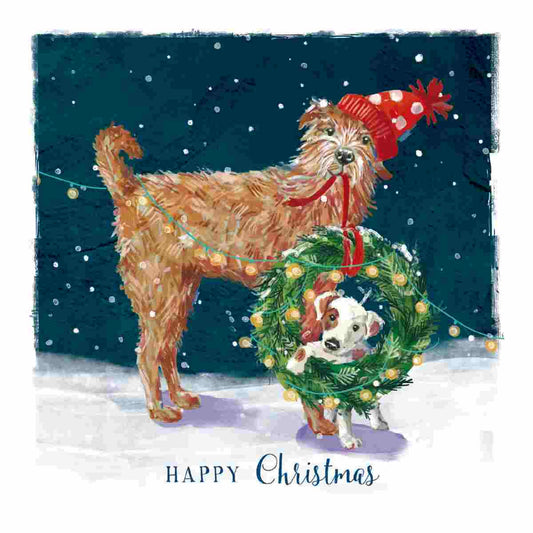Furry and Bright Christmas Cards, pack of 10