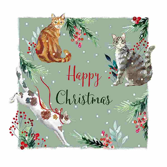 Festive Cats Christmas Cards, pack of 10