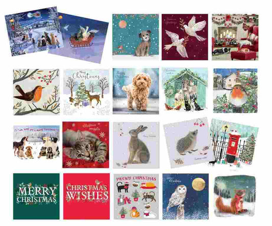 Christmas Cards 2022, One of Each, Pack of 20