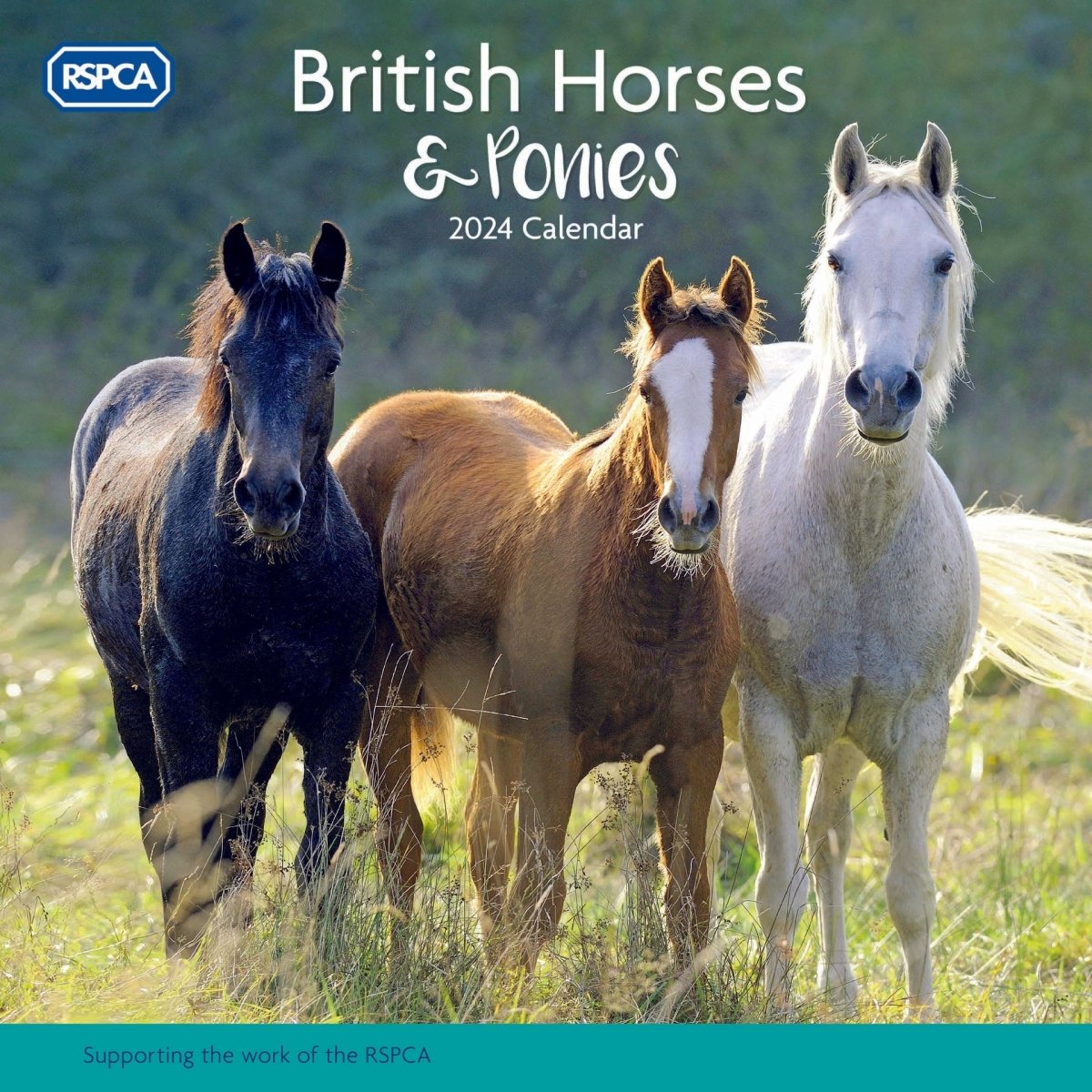 RSPCA Horses Square Wall Calendar 2024 RSPCA Shop