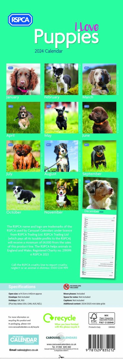 RSPCA Puppies Slim Calendar 2024