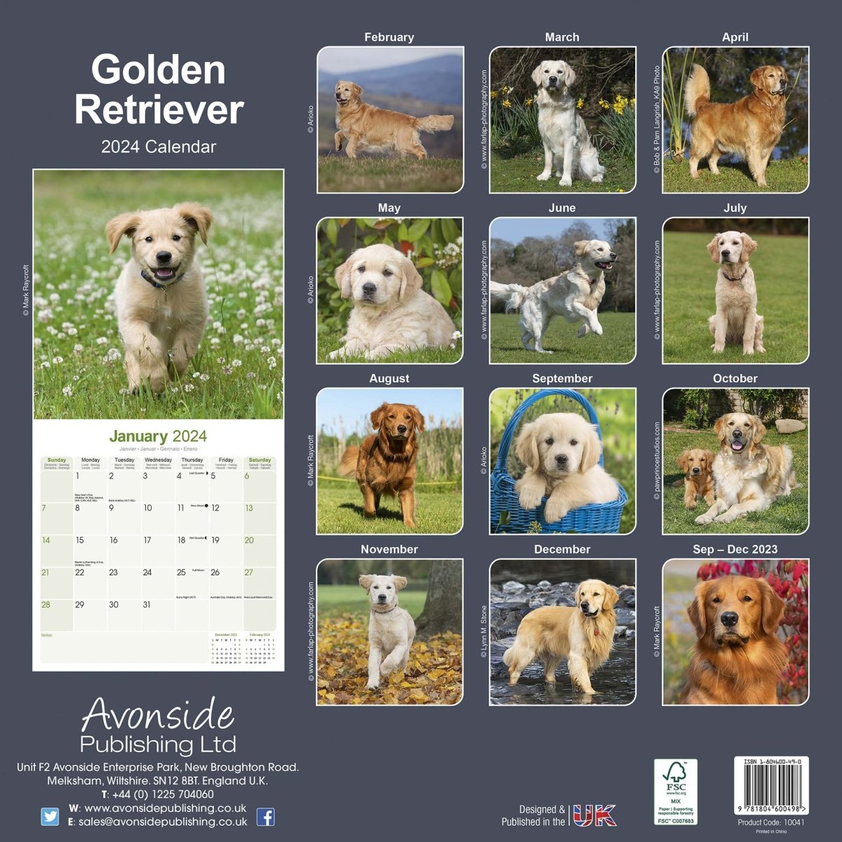 Rspca golden hot sale retriever