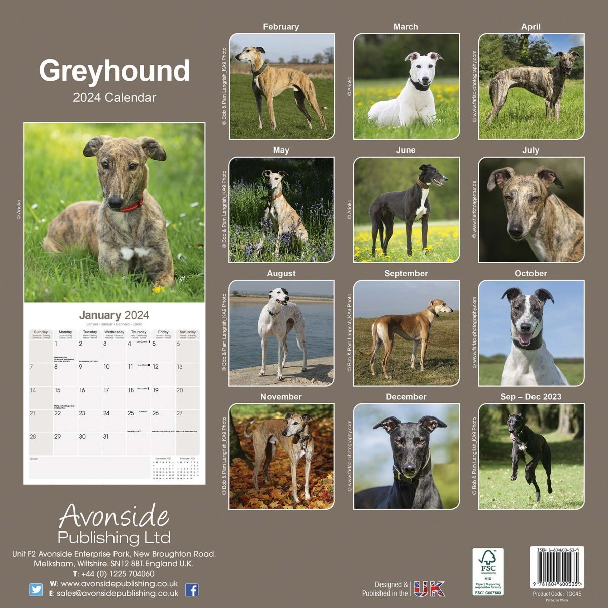 Greyhound Square Wall Calendar 2024