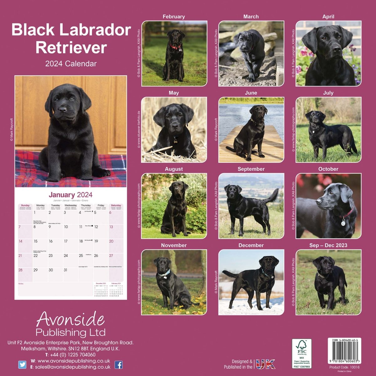 Black Labrador Retriever Square Calendar 2024 RSPCA Shop   4520000190124 CA0214 3 A95df7a0 9689 41fc Af3d 7e4f0e6958d8 450606 