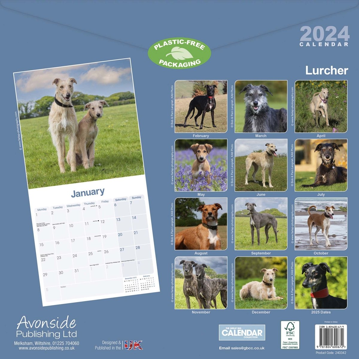Lurcher Square Wall Calendar 2024 RSPCA Shop