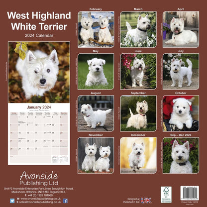 West Highland Terrier Square Wall Calendar 2024