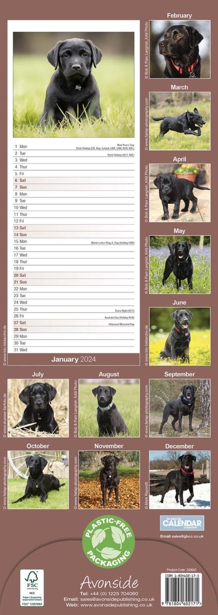 Labrador Retriever Black Slim Calendar 2024