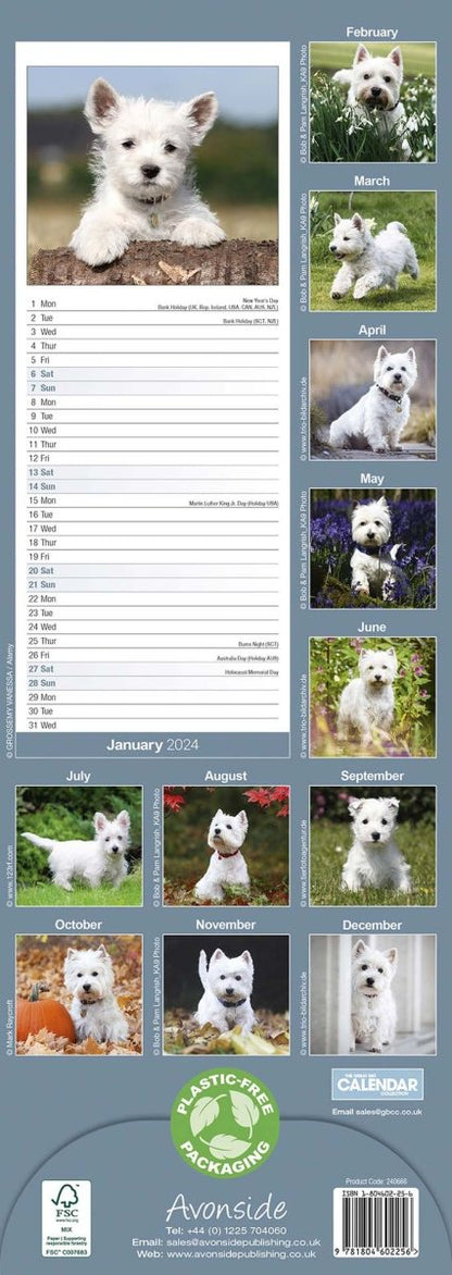 West Highland Terrier Slim Calendar 2024