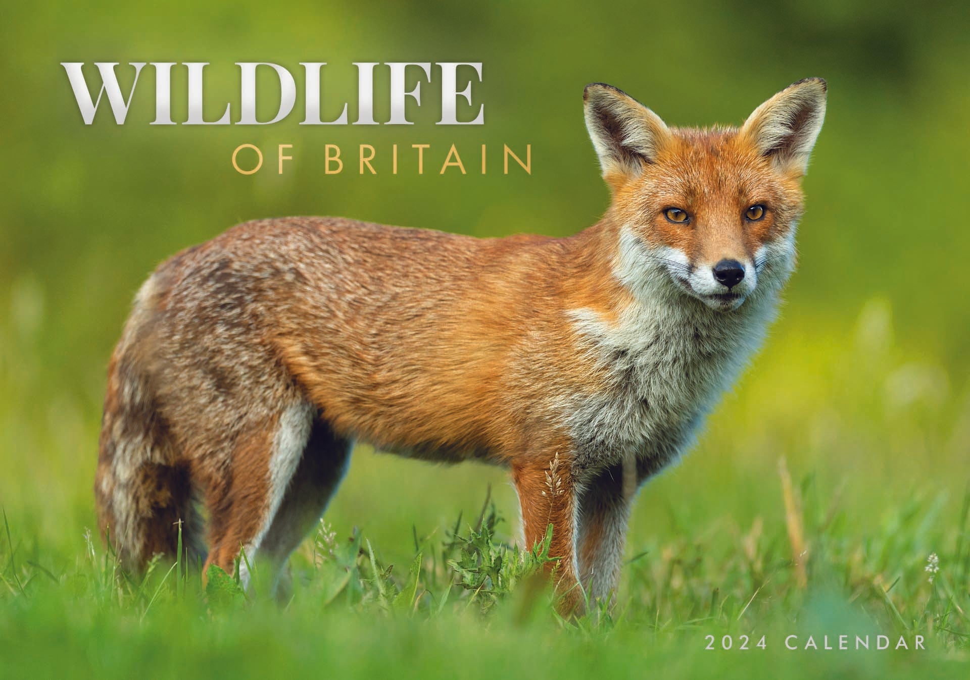 Wildlife Of Britain A4 Calendar 2024 RSPCA Shop   4520000680124 CA0602 1 