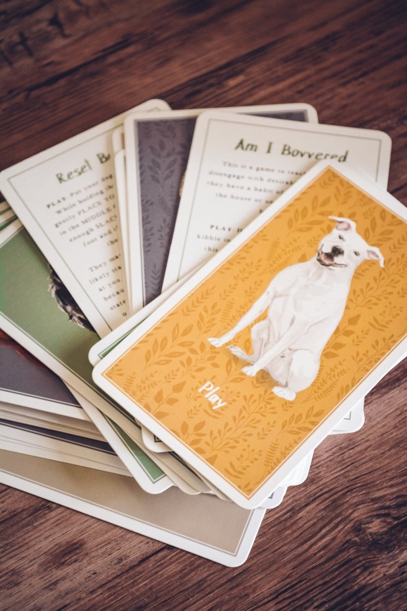 Brain Games For Dogs Illustrated Card Set RSPCA Shop brain-games-for-dogs-illustrated-card-set-rspca-shop