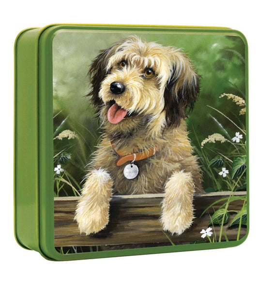 Shaggy Dog Looking Over Fence Biscuit Tin